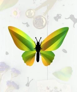 3D-Bastelset DIY - Bastel - Set - Birdwing Schmetterling - Grün DIY - Bastelsets