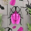 3D-Bastelset DIY - Bastelset Gespenstlaufkäfer In Pink